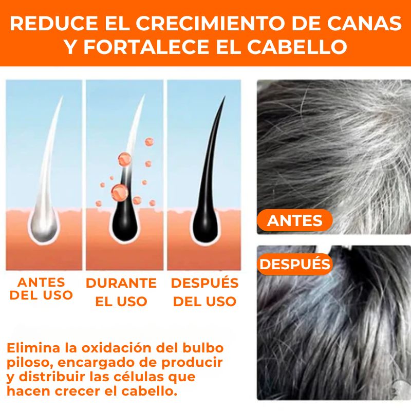 SHAMPOO PREMIUM BLACK HAIR DYE